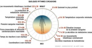 sommeil-dereglements-cycles-circadien